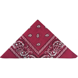 Fuchsia Paisley Bandana