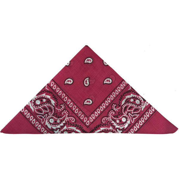 Fuchsia Paisley Bandana