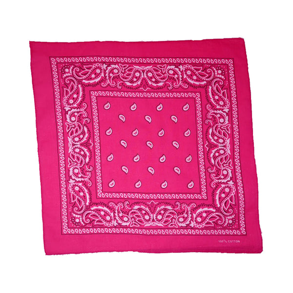 Fuchsia Paisley Bandana