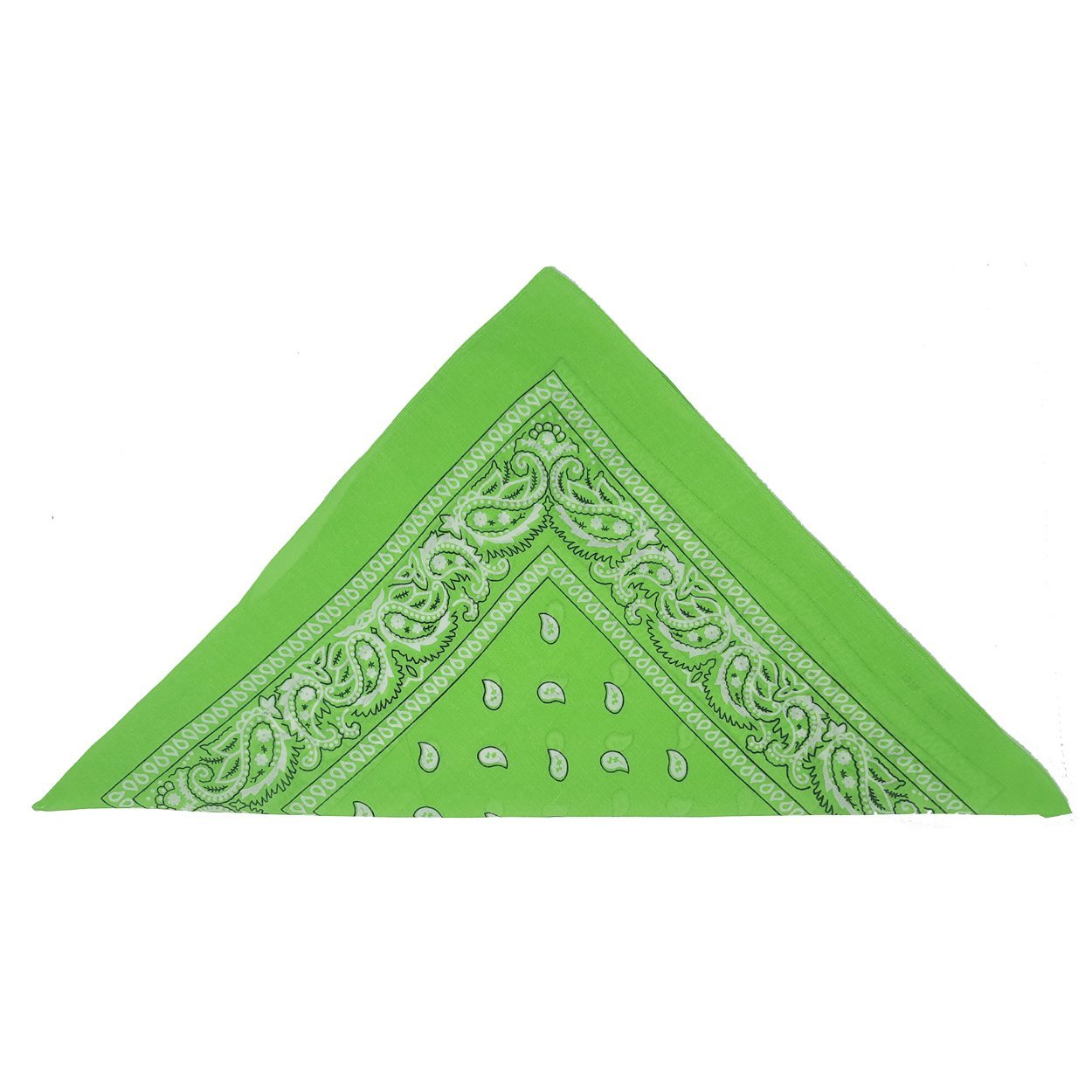 Green Paisley Bandana