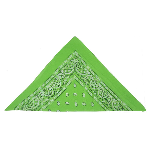 Green Paisley Bandana