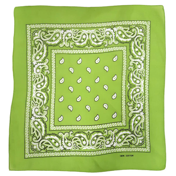 Green Paisley Bandana