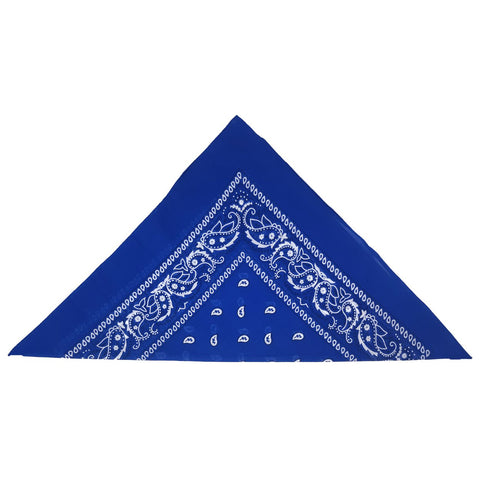 Blue Paisley Bandana