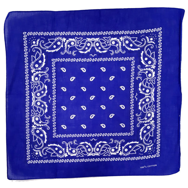 Blue Paisley Bandana